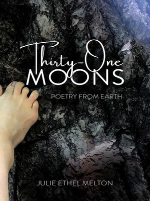 cover image of Thirty-One Moons